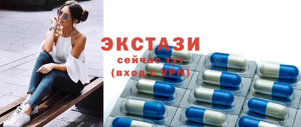 гидра Верхний Тагил