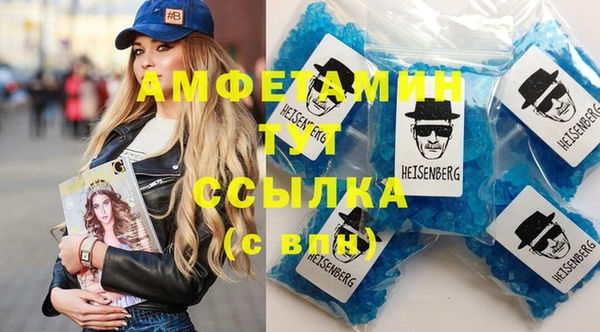 гидра Верхний Тагил