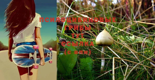PSILOCYBIN Снежногорск
